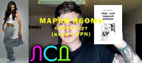 прущие грибы Балабаново