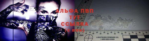 гидра Белоозёрский