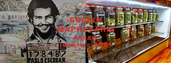 гидра Белоозёрский