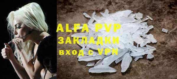 трава Белокуриха