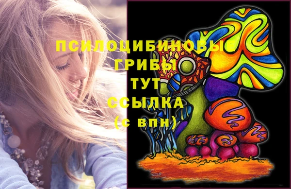 гидра Белоозёрский
