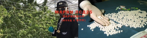 гидра Белоозёрский