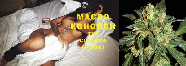 гидра Белоозёрский
